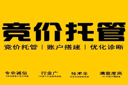 Sem优化公司案例：精准广告投放策略解析